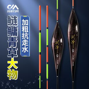 川泽TD碳素鱼漂高灵敏鲢鳙浮漂加粗尾醒目野钓黑坑防爆抗走水大物