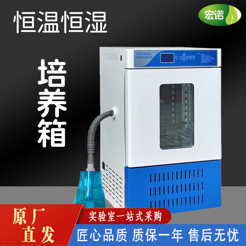 低震荡微生物植物细菌霉菌培养箱