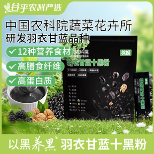 中国农科院蔬菜所徐姬羽衣甘蓝十黑粉黑芝麻糊核桃黑豆粉代餐粉