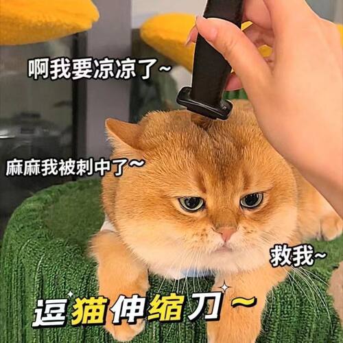 逗猫伸缩刀玩具同款收缩恶搞整人刺刀伸缩假刀表演道具塑料不伤人