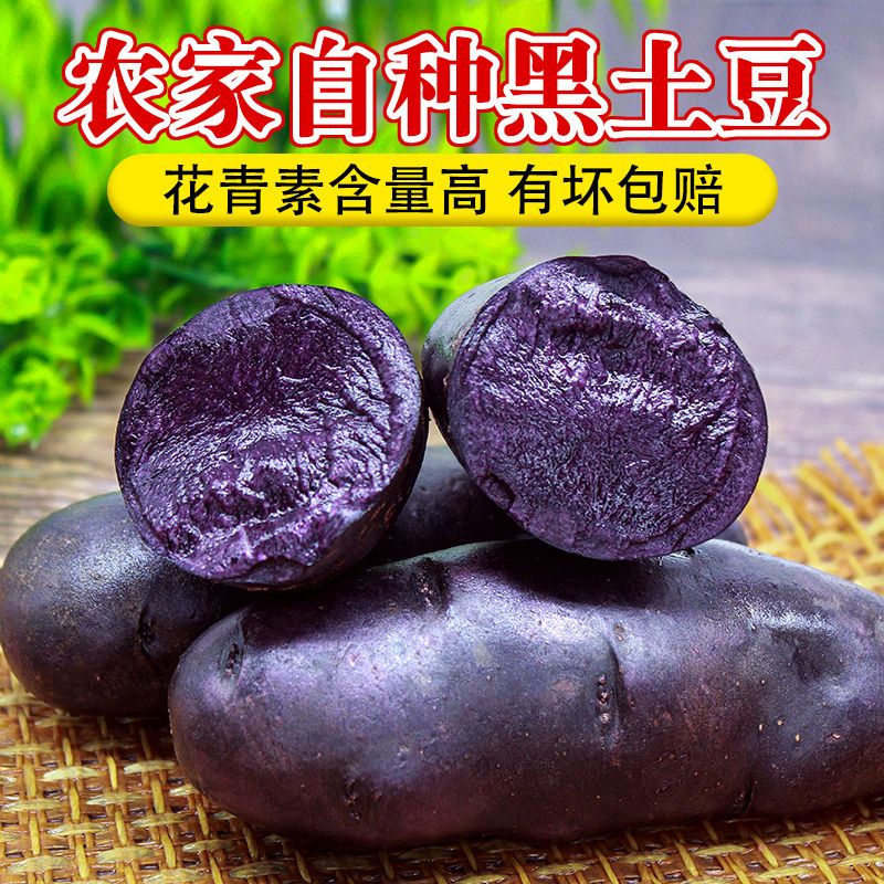 新鲜现挖紫土豆24新货富含花青素