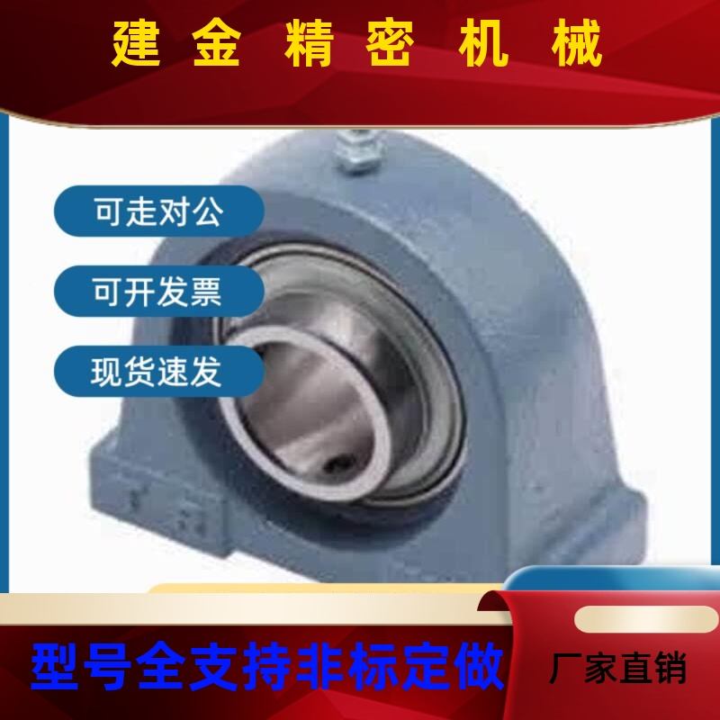 替PDR上隆BRTJ带SWZ座承BTA BRTC12 15 17 20  2轴5 R30 35 40 45