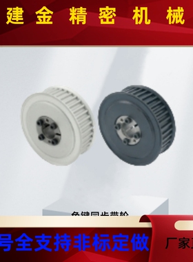 免键同步带轮TAES3M/S5M/S8M TSES3M/S5M/S8M/T5/T10/XL/L/H TAEL