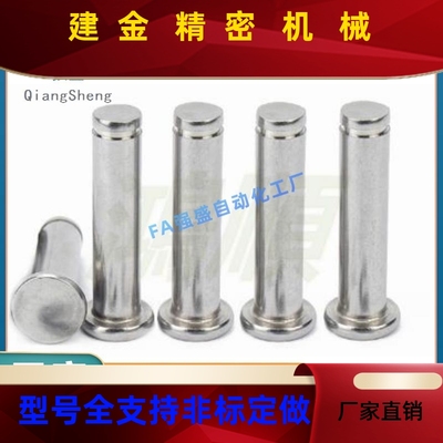 /替代米米SHCCG8/1思0/6/5/4/12-1015IZH扣/20/25铰链销带肩环型