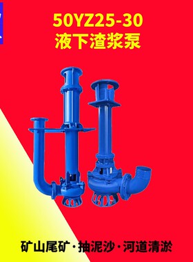 立式离心泵液下渣浆泵河道疏浚污水排放50YZ25-30-7.5水泵