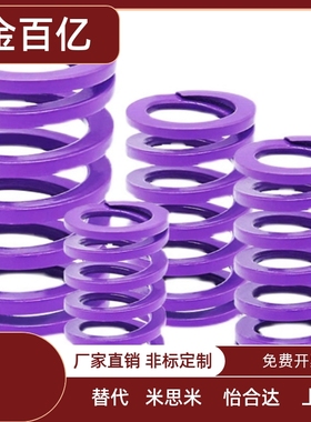 紫色YSWC-D39-L40L45L50L55L60L65L70L80L90L100L200 矩形弹簧
