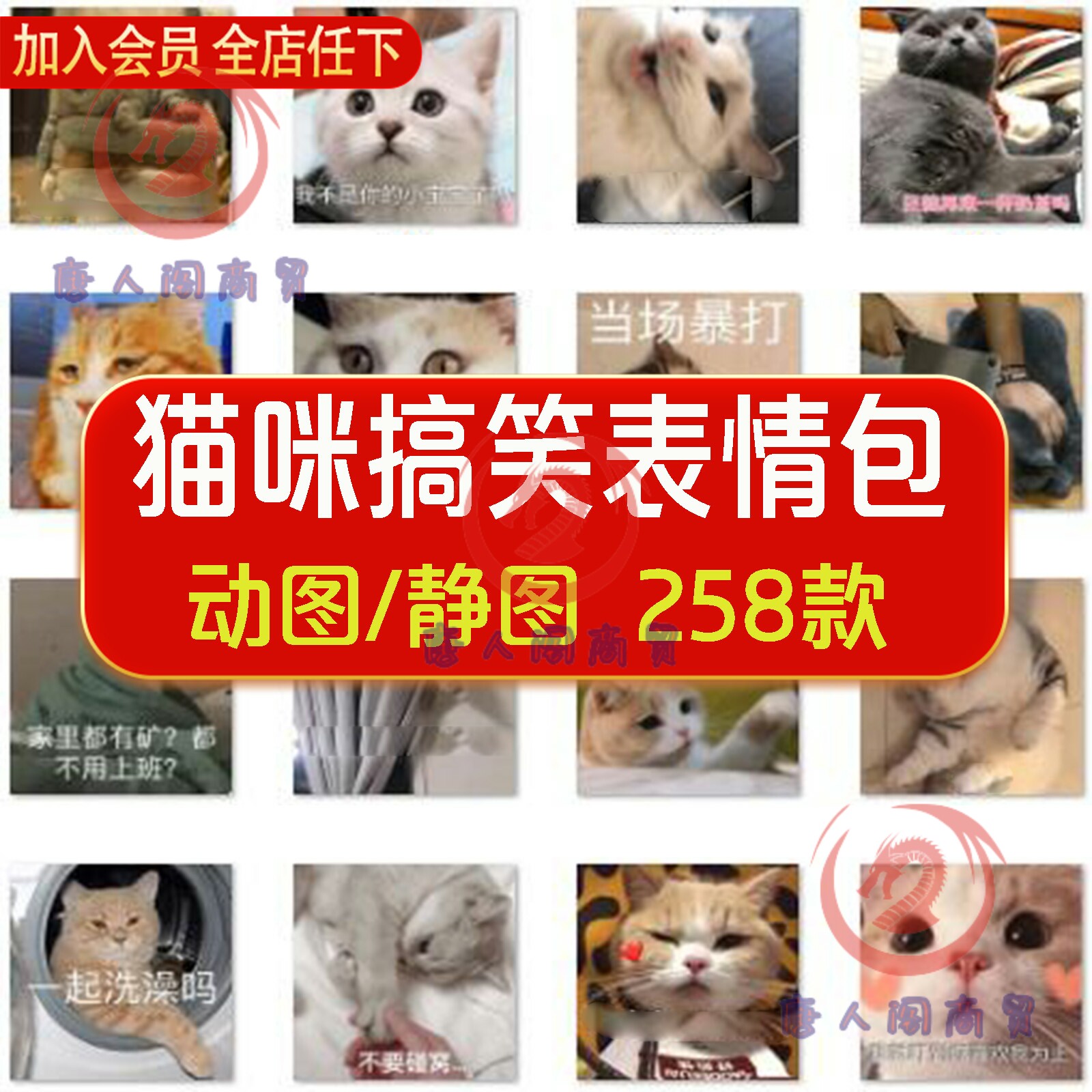 猫猫主人猫咪卖萌可爱沙雕撒娇斗图怼人猫星人动态静态gif表情包