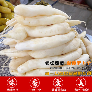 农家腌制萝卜个酸甜开胃不腻不好吃打我系列速拍温州乐清柳市菜场