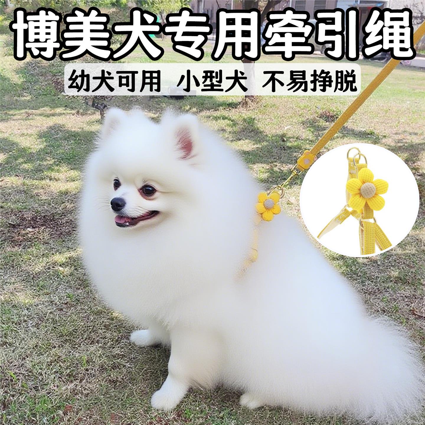博美犬专用牵引绳小型犬幼犬小体狗狗用绳子链子可调节款宠物用品