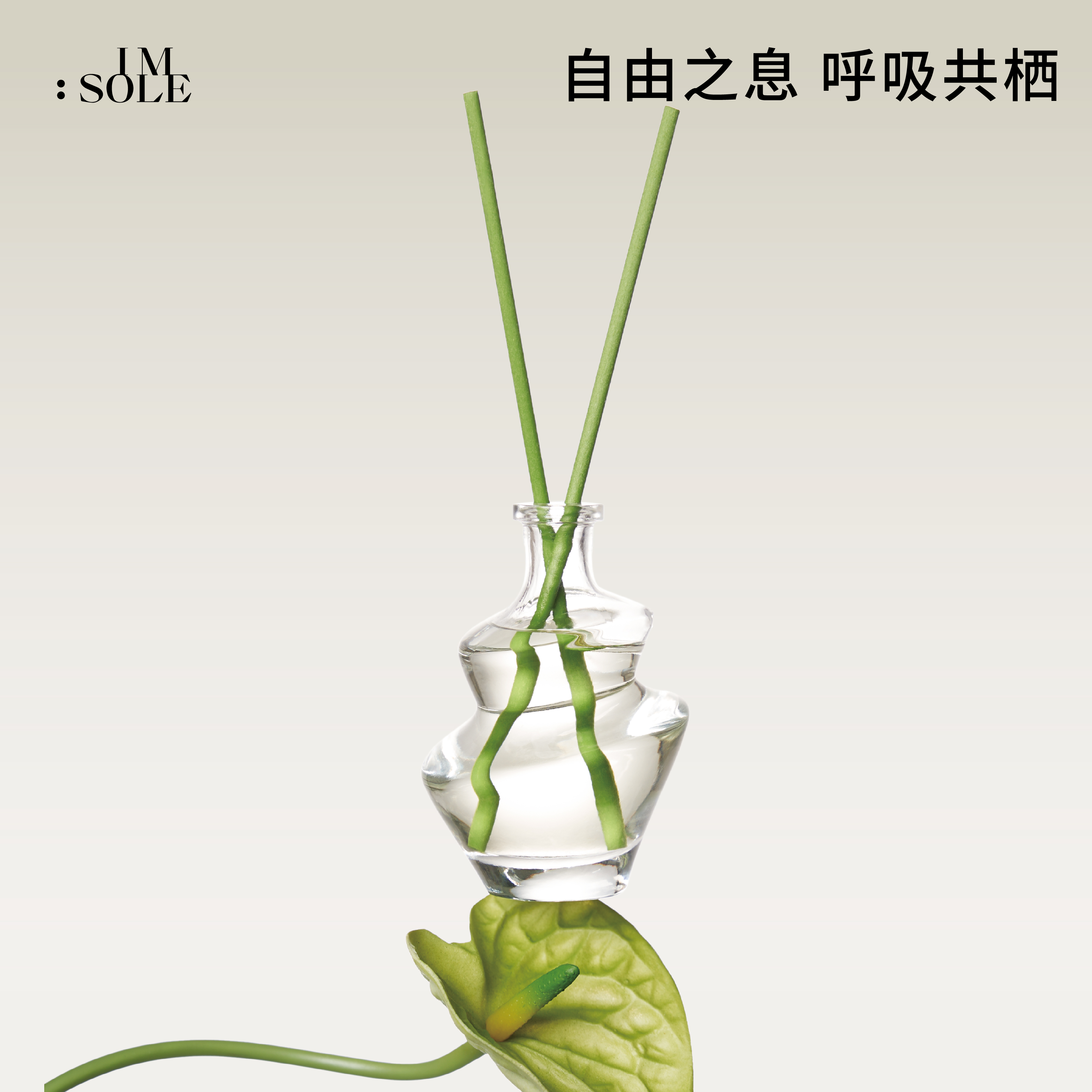 IMSOLE不定所自由之境无火香薰香氛家用室内持久高级香薰精油