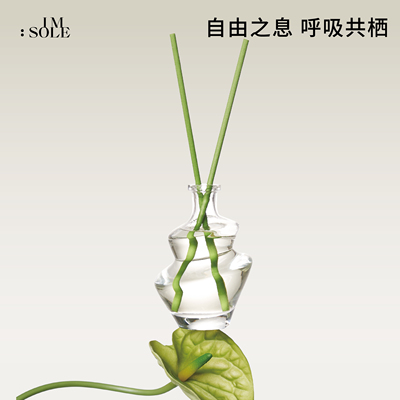 IMSOLE不定所自由之境无火香薰香氛家用室内持久高级香薰精油