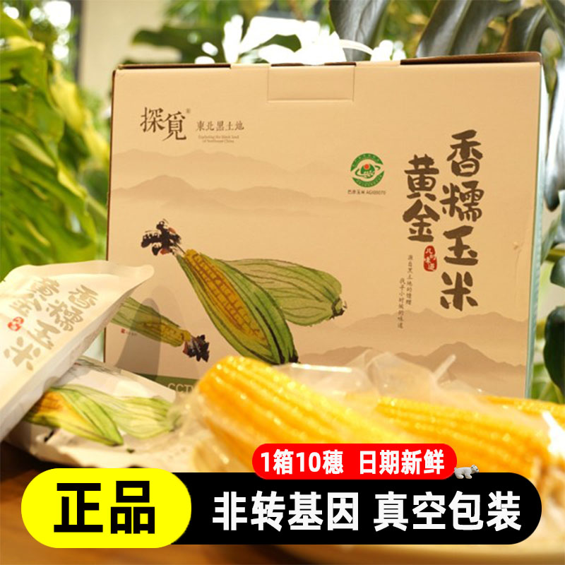 东北黄金香糯玉米真空早餐速食