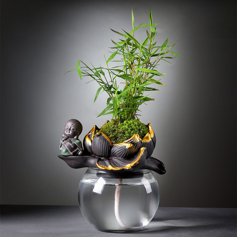 厂家文竹栀子花水养创意懒人办公室自动吸水盆栽花卉植物室内小绿