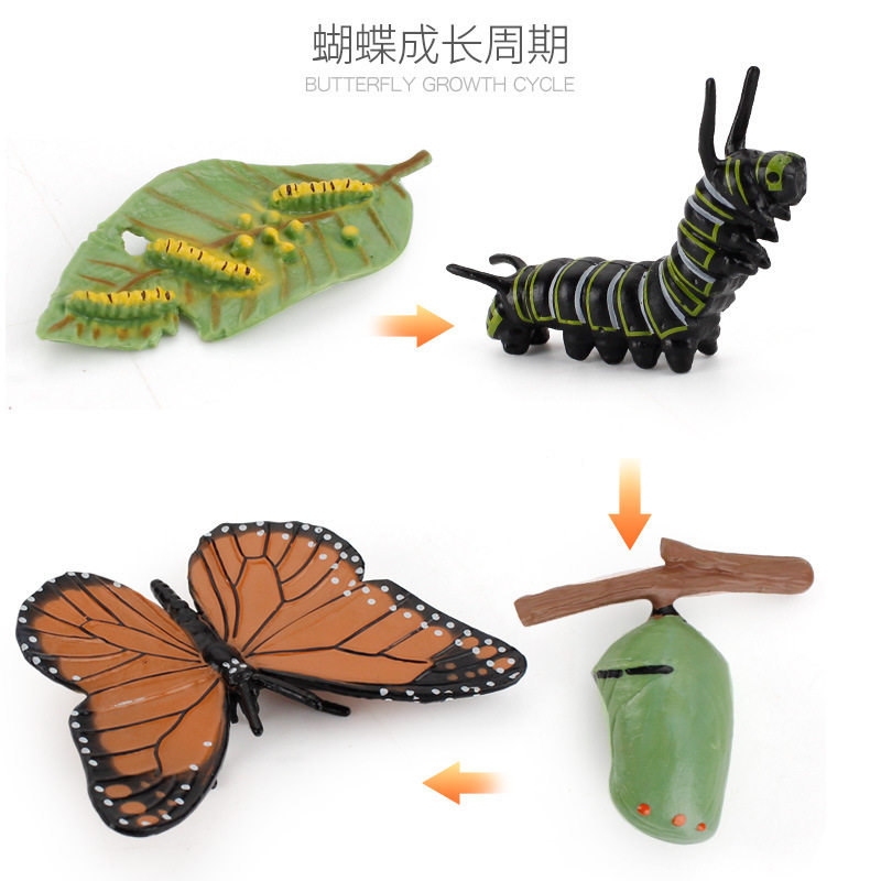 新款仿真海龟青蛙蜗牛公鸡生长周期幼儿园蒙氏教具手办摆件玩具