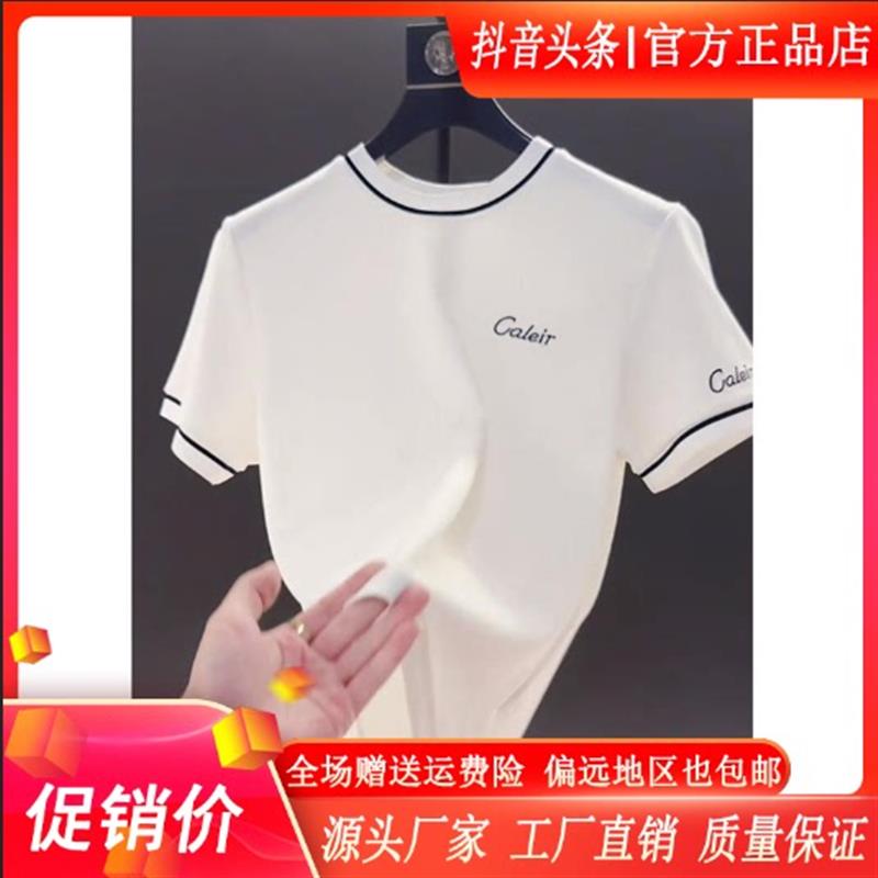 师凯服饰男装Amphelisia夏季网红爆款短袖T恤男士高级感简约上衣