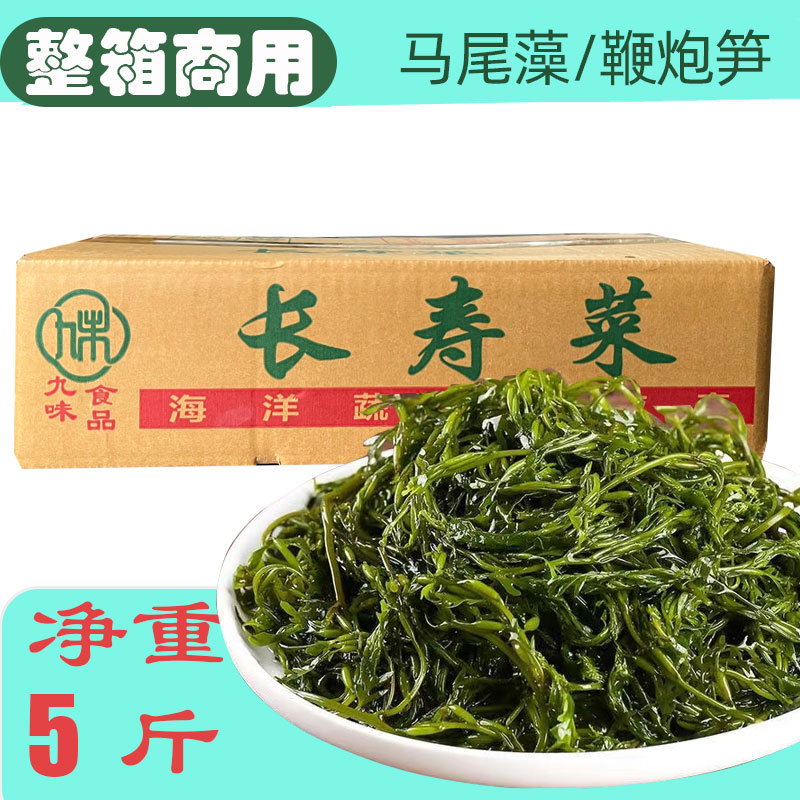 商用净重5斤马尾藻海草鞭炮笋羊栖长寿菜麻辣烫火锅串串关东煮