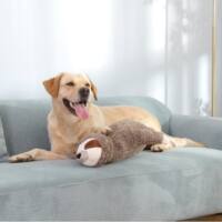 Amazon's best-selling pet anti-anxiety and soothing plush toy, Heartbeat sloth animal cat sleep peace pillow thumbnail 3