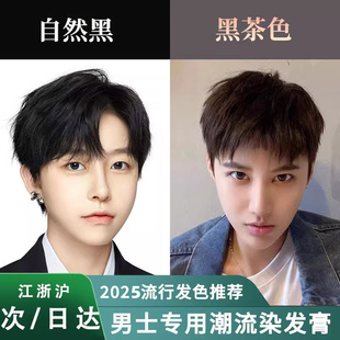 男士专用自然黑色染发剂冷棕黑茶色男生染黑发膏植物纯免漂盖白发