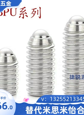 BPU3/4/5/6/8/10/12/16/20 球头柱塞/米制
