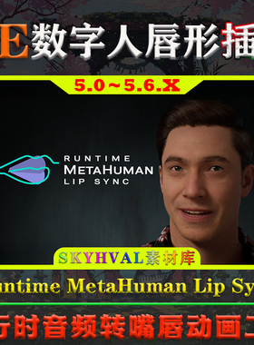 UE5.0～5.6虚幻 Runtime MetaHuman Lip Sync 数字人嘴唇同步工具