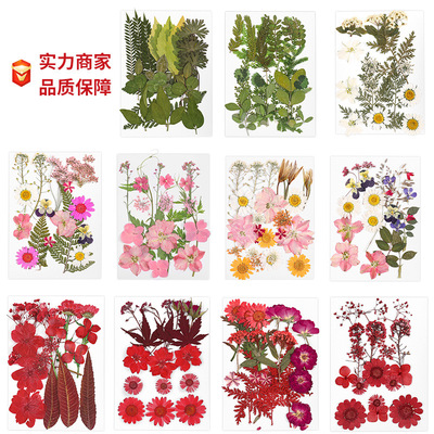 干花压花零散花材厂家永生花装饰材料包 手工香薰蜡烛滴胶DIY摆件