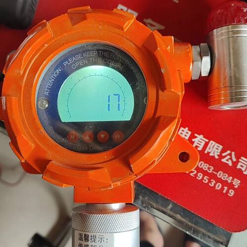固定式甲烷检测仪  ES10B11-CH4 工作电压24V