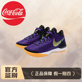 Gen 低帮 篮球鞋 Nike 紫金色DR8788 NXXT 男款 500 LeBron