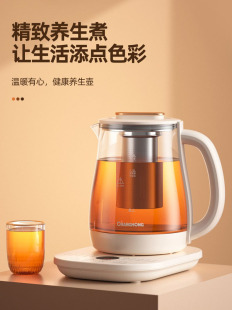 日本养生壶多功能家用小型电煮茶壶办公室全自动加厚玻璃电热水壶