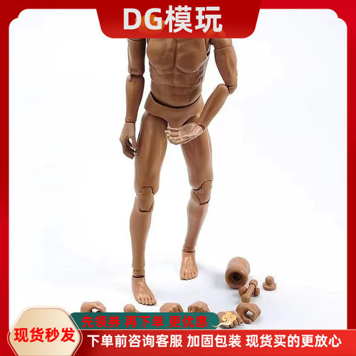 1/6兵人素体 DG007 无脖窄肩肌肉素体 适合HT DAM等头雕通用 现货