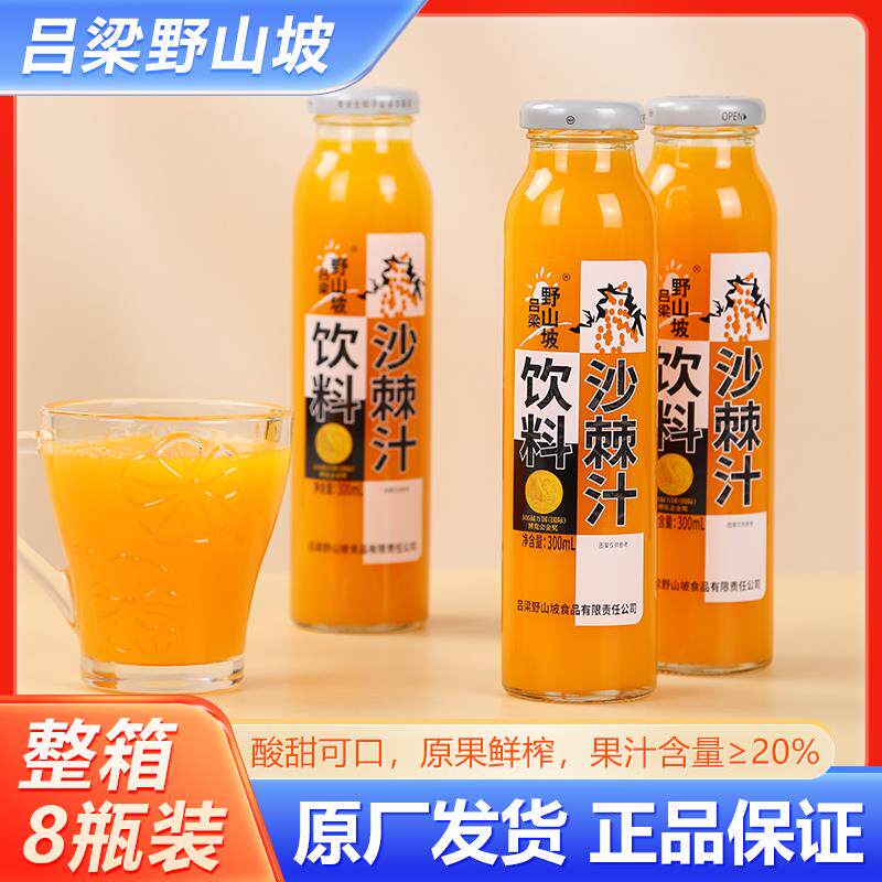 新货山西特产 沙棘汁饮料整箱300ml*24玻璃瓶装果汁原