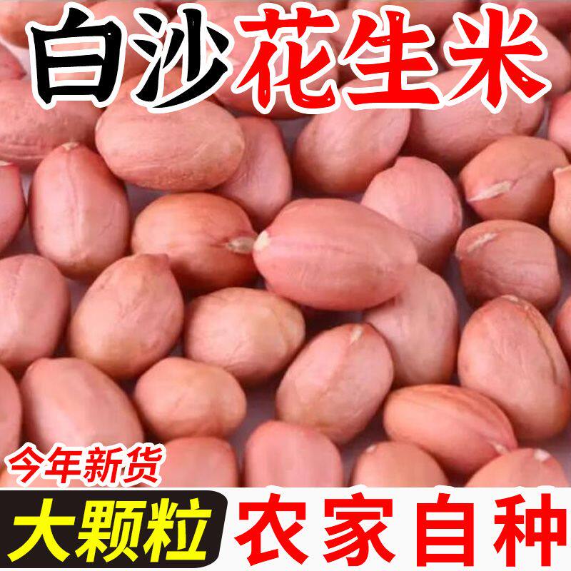 农家花生米颗粒饱满白沙花生米农家花生仁榨油家用商用白沙花生