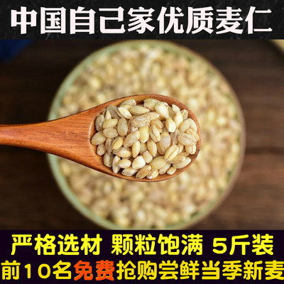 农家自产小麦仁优质麦仁