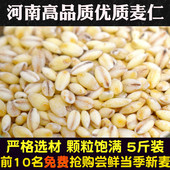 河南优质麦仁新米小麦仁去皮麦仁米杂粮粥脱壳新米农家自产