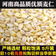 河南优质麦仁新米小麦仁去皮麦仁米杂粮粥脱壳新米农家自产