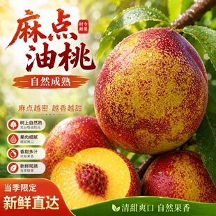 精品砀山油桃露天麻点黄肉油桃现摘现发自然成熟当季水果整箱送礼