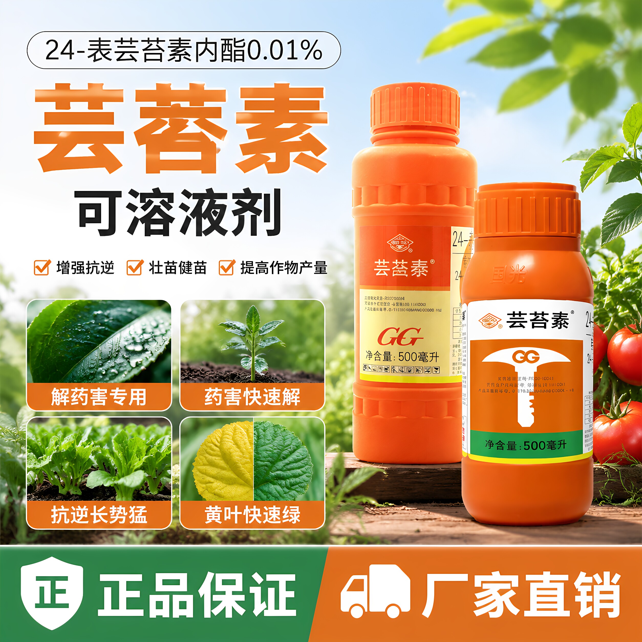 国光芸苔素内酯生根壮苗增产