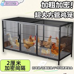 鸡笼子家用养鸡笼加密雏鸡笼防黄鼠狼养殖笼鸡舍鸭笼铁丝网方管笼