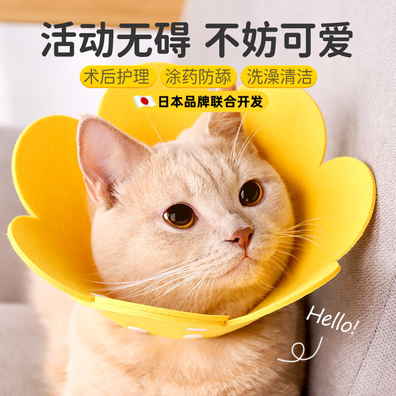 伊丽莎白圈猫绝育项圈猫咪头套防咬围脖伊利莎白圈狗脖圈宠物用品,宠物/宠物食品及用品,宠物伊丽莎白圈,淘宝优惠券,粉丝福利购,淘宝优惠卷