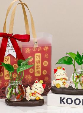 水养玄关家居伴手节日花瓶礼水培开业面招财猫绿萝礼品办公桌摆件