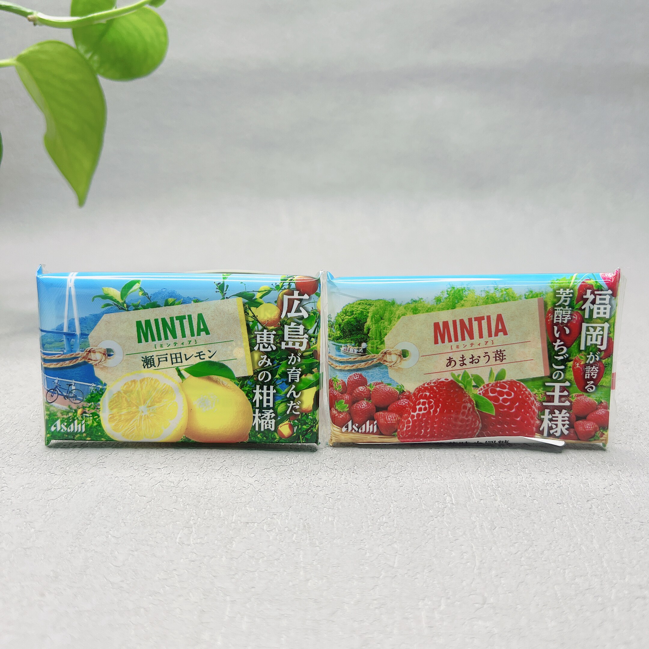 临期特价 日本朝日草莓味柠檬味糖果7g压片糖润喉糖提神清新口气