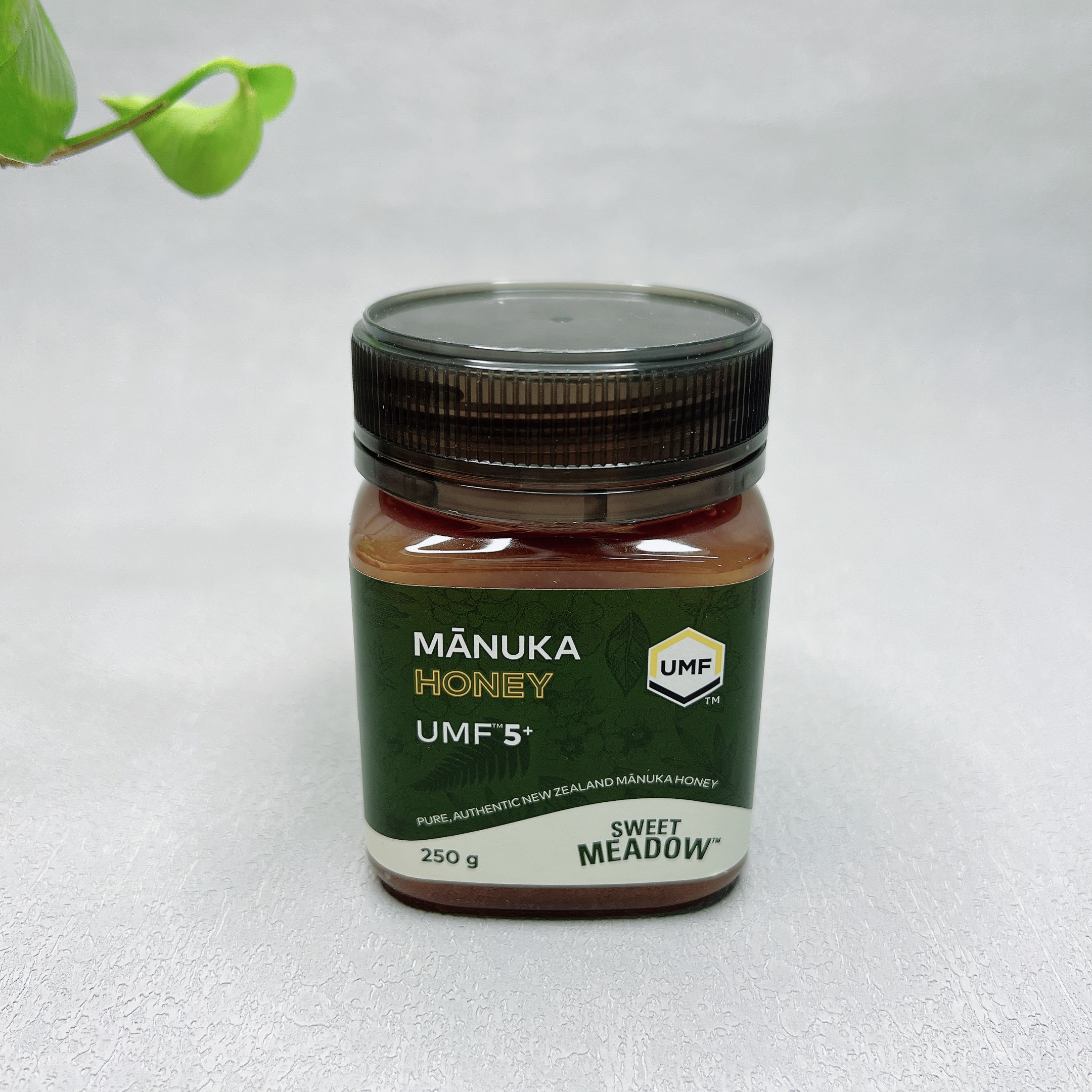 临期 新西兰进口麦卢卡花蜂蜜250g（UMF 5+）传统滋补营养冲饮