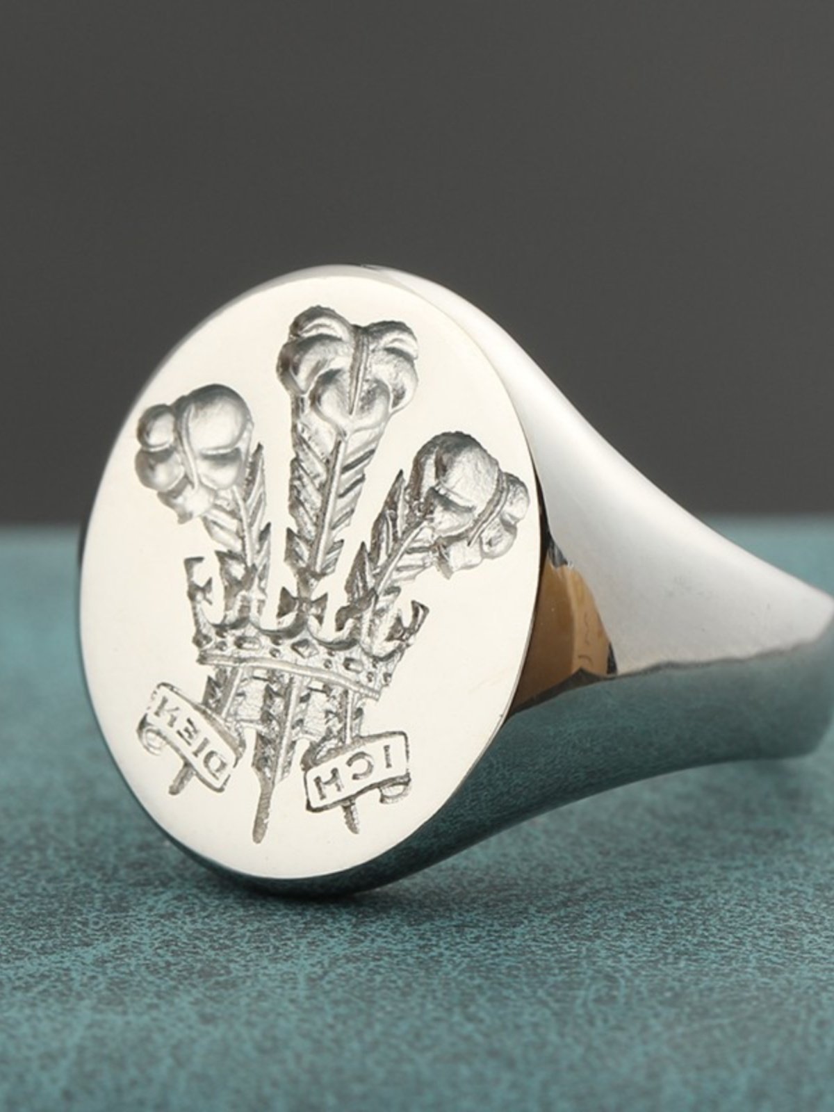 英国皇室家族徽章戒指黄金色复古印章图章欧美时尚尾戒轻奢设计感