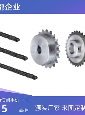 链轮链条 BSP50B/SP50B10-N-15/16/17/18/19/20/22/SP50B10-S-10