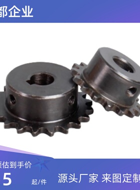 链轮 链条  BSP50B/SP50B21-N-20/22/24/25/28/30/32/35/38/40/45