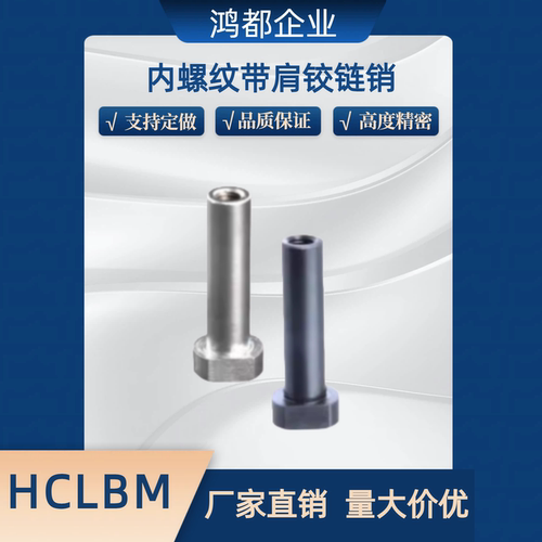 内螺纹带肩铰链销/ HCLBM SHCLBM6 8 10 12 15 16 20-15 20 25 30