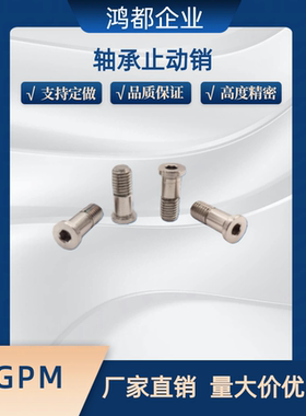 轴承止动销 BGP BGPM 6 8 10-9 11 13 14 17-L20 L25 L30 L40 L50