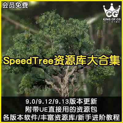 speedtree软件树库教程虚幻引擎C4d/Unity/UE4/资源环境植物u3d