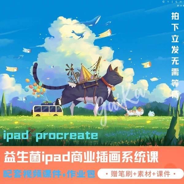 2023益生菌插画课ipad零基础入商业插画系统课日系风绘画自学教程