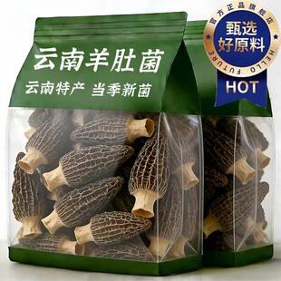云南野生羊肚菌干货官方旗舰店正品正宗新货一级新鲜煲汤菌菇食材