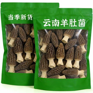 云南野生羊肚菌干货官方旗舰店正品正宗新货一级新鲜煲汤菌菇食材